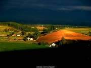 landscape (58).JPG