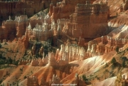 landscape (60).jpg