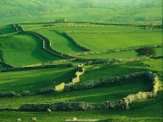 landscape (61).JPG