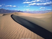 landscape (64).jpg