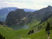 landscape (65).jpg