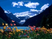 landscape (67).jpg