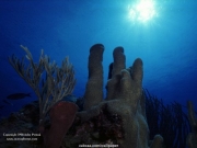 sea (12).jpg