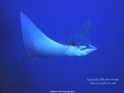sea (16).jpg