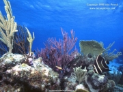 sea (17).jpg