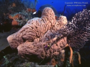 sea (18).jpg