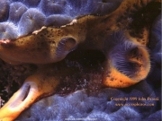 sea (31).jpg