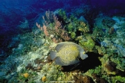 sea (33).JPG