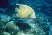 sea (35).JPG
