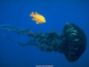 sea (38).JPG