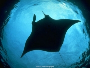 sea (39).JPG