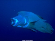 sea (40).JPG
