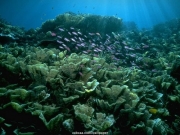 sea (45).JPG