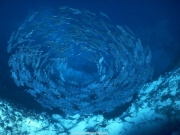 sea (51).JPG
