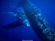 sea (54).JPG