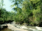 stream (1).JPG