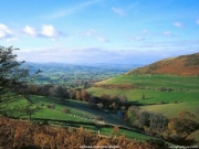 view (11).JPG