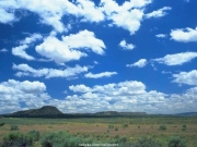 view (13).JPG