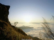 view (20).JPG