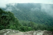 view (37).JPG