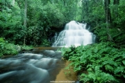 waterfall (13).JPG