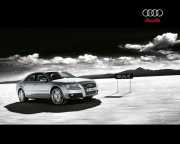 Audi_S8_2006_2.jpg