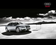 Audi_S8_2006_2.sized.jpg