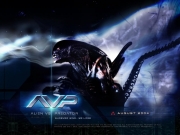 Alien_vs_Predator_3_1024.jpg