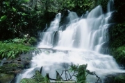 waterfall (14).JPG