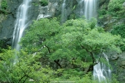 waterfall (8).JPG